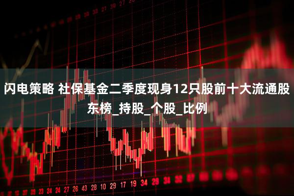 闪电策略 社保基金二季度现身12只股前十大流通股东榜_持股_个股_比例