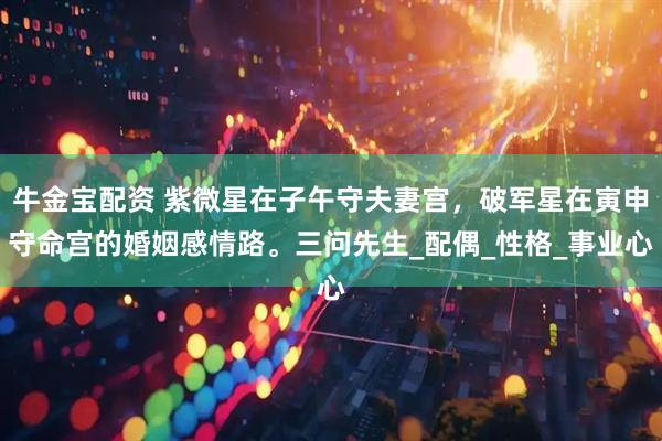 牛金宝配资 紫微星在子午守夫妻宫，破军星在寅申守命宫的婚姻感情路。三问先生_配偶_性格_事业心