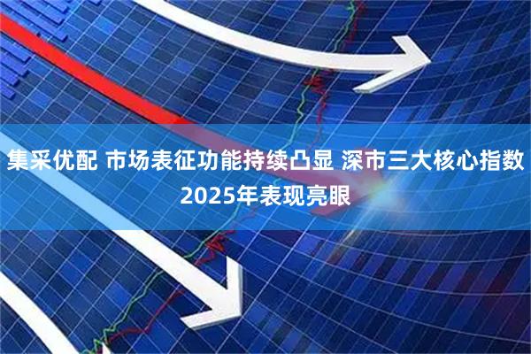 集采优配 市场表征功能持续凸显 深市三大核心指数2025年表现亮眼