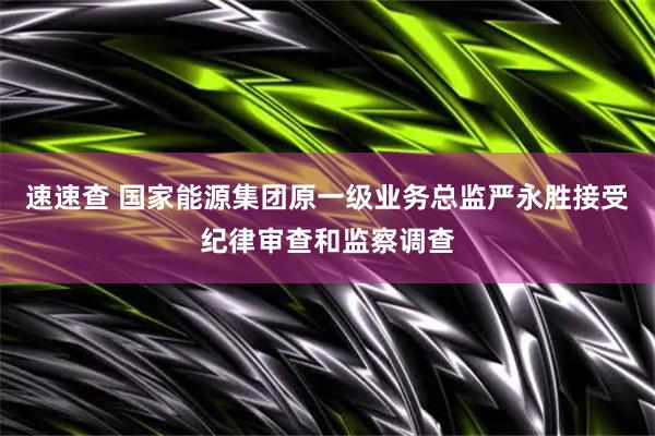 速速查 国家能源集团原一级业务总监严永胜接受纪律审查和监察调查