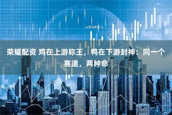 荣耀配资 鸡在上游称王，鸭在下游封神：同一个赛道，两种命